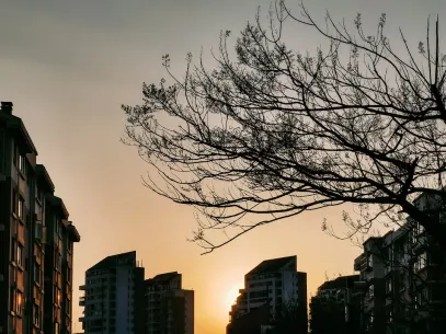 MegaReel Kasyno Aplikacja mobilna